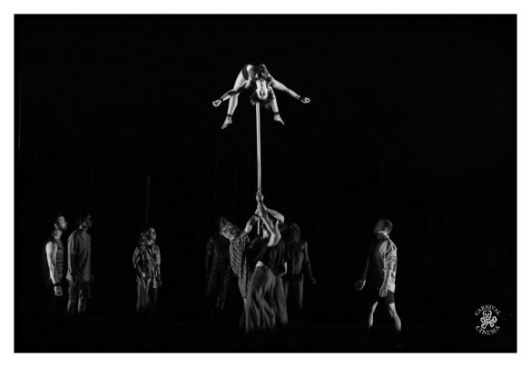 Gravity & Other Myths presents BACKBONE