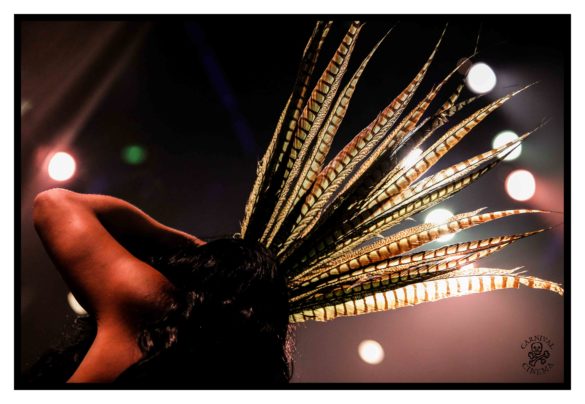 Briefs Close Encounters