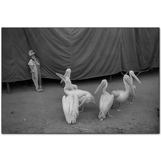 Mary Ellen Mark – Photography Inspiration