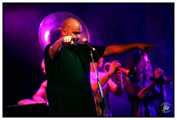 Mullum Music Festival – Photo Gallery
