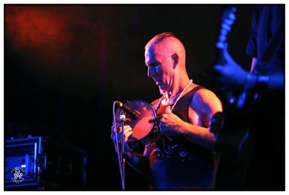 Mullum Music Festival – Photo Gallery