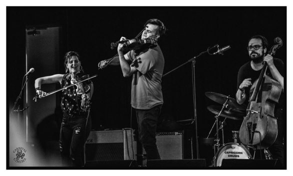 Mullum Music Festival – Photo Gallery