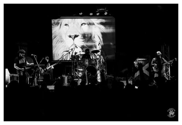 Mullum Music Festival – Photo Gallery