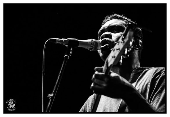 Mullum Music Festival – Photo Gallery