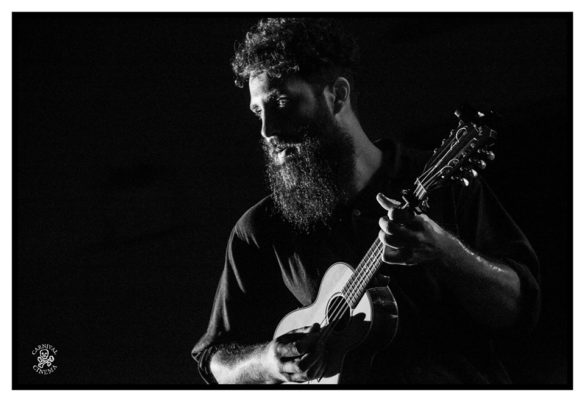Mullum Music Festival – Photo Gallery