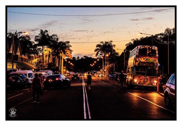 Mullum Music Festival – Photo Gallery