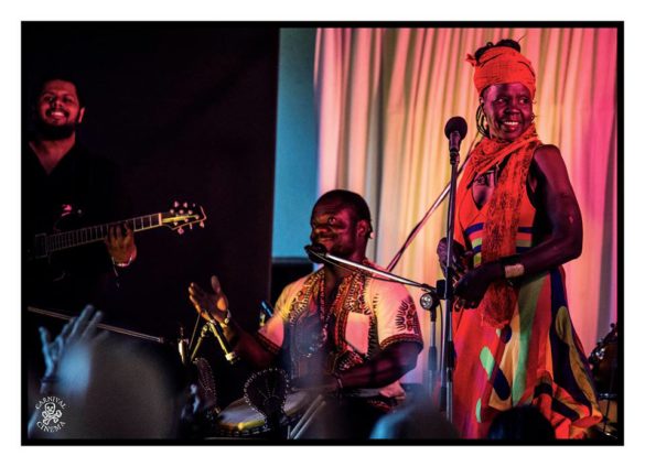 Mullum Music Festival – Photo Gallery