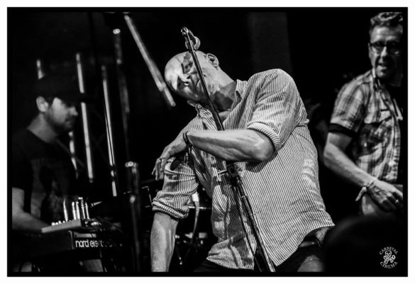 Mullum Music Festival – Photo Gallery