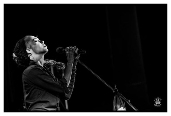 Mullum Music Festival – Photo Gallery