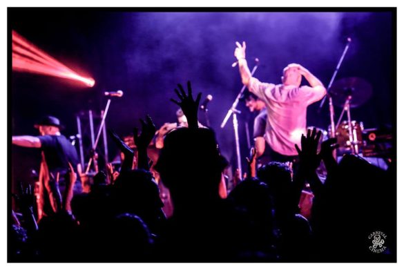 Mullum Music Festival – Photo Gallery