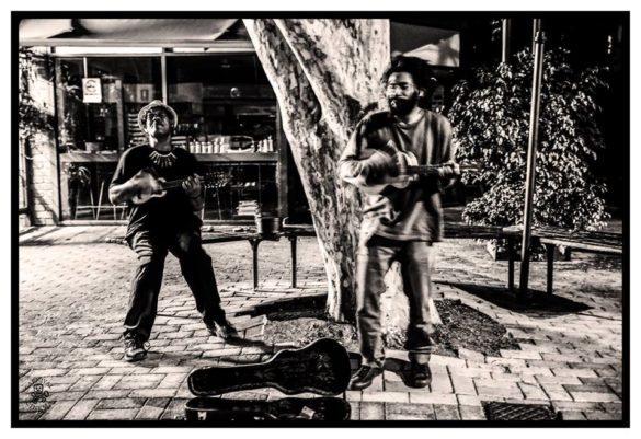 Mullum Music Festival – Photo Gallery