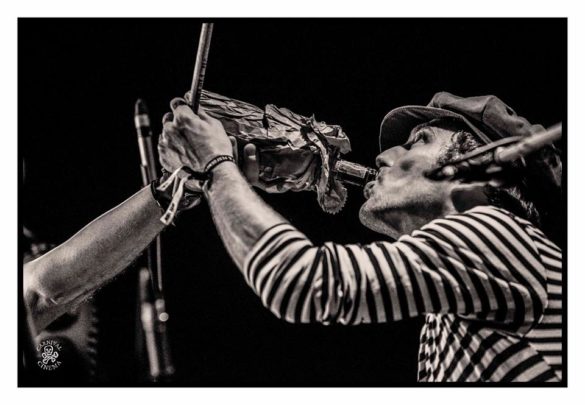 Mullum Music Festival – Photo Gallery
