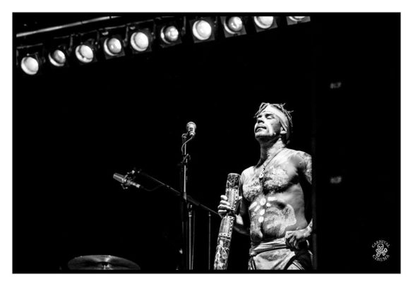 Mullum Music Festival – Photo Gallery