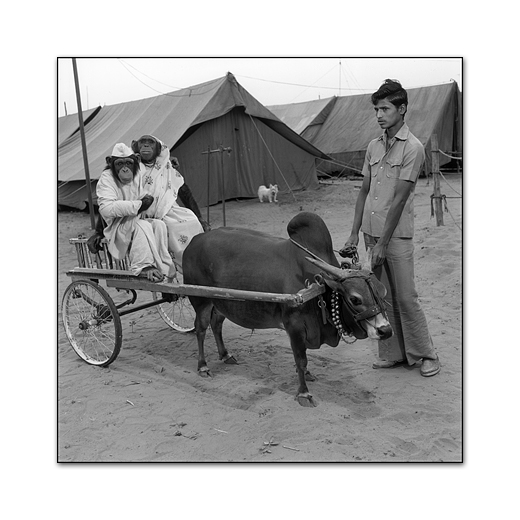 Mary Ellen Mark – Photography Inspiration