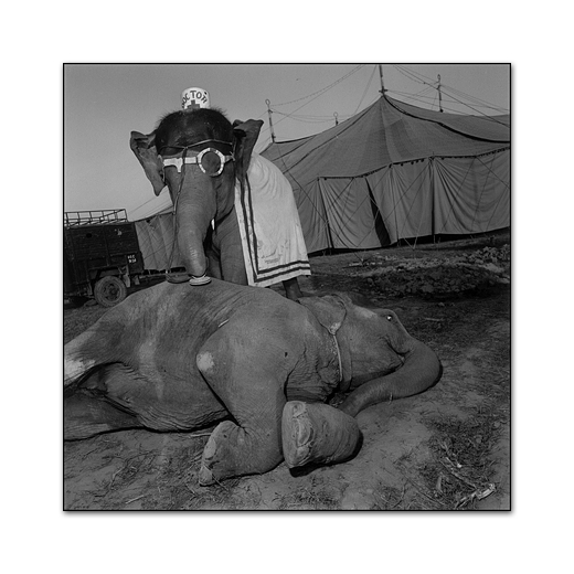 Mary Ellen Mark – Photography Inspiration