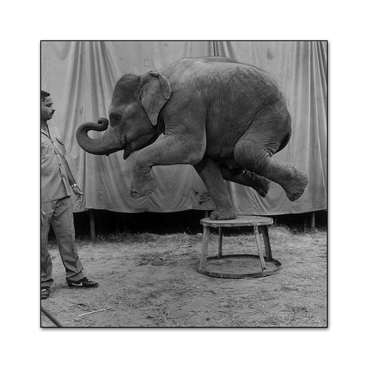 Mary Ellen Mark – Photography Inspiration