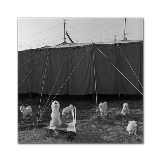 Mary Ellen Mark – Photography Inspiration