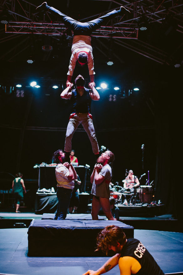 Kate Pardey Photo Gallery – Cirque Alfonse : Barbu 2016
