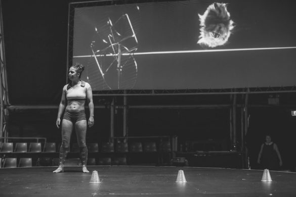 Kate Pardey Photo Gallery – Cirque Alfonse : Barbu 2016