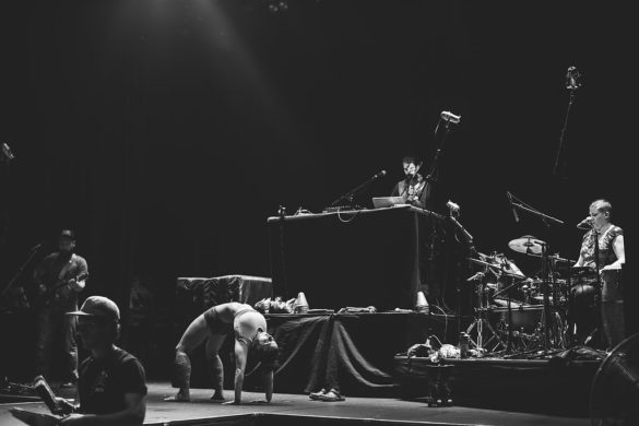 Kate Pardey Photo Gallery – Cirque Alfonse : Barbu 2016