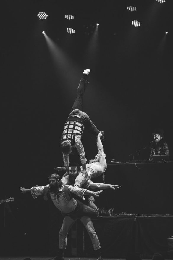 Kate Pardey Photo Gallery – Cirque Alfonse : Barbu 2016
