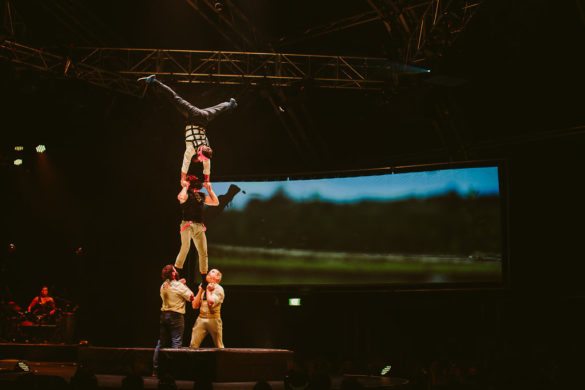 Kate Pardey Photo Gallery – Cirque Alfonse : Barbu 2016