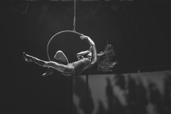 Kate Pardey Photo Gallery – Cirque Alfonse : Barbu 2016