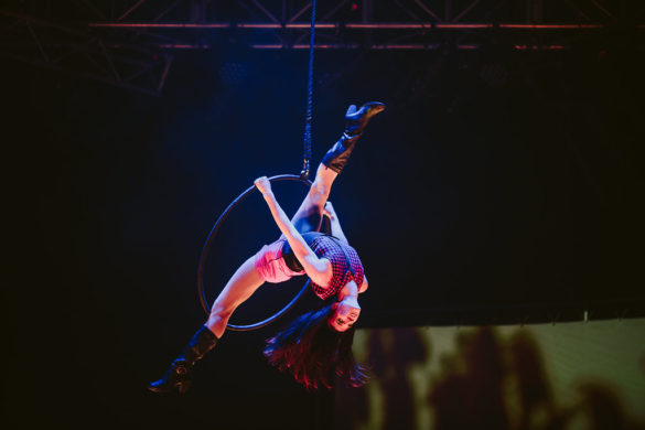 Kate Pardey Photo Gallery – Cirque Alfonse : Barbu 2016