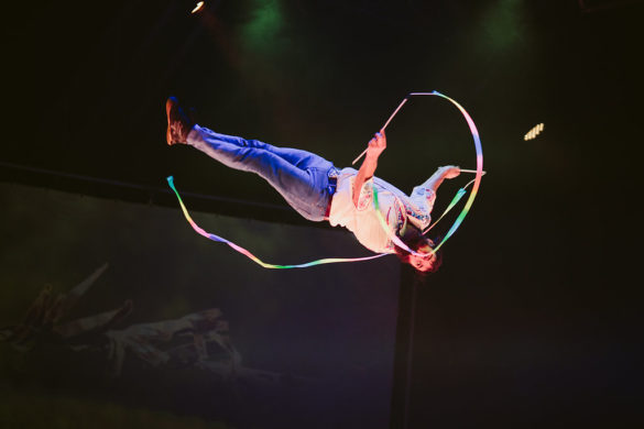 Kate Pardey Photo Gallery – Cirque Alfonse : Barbu 2016