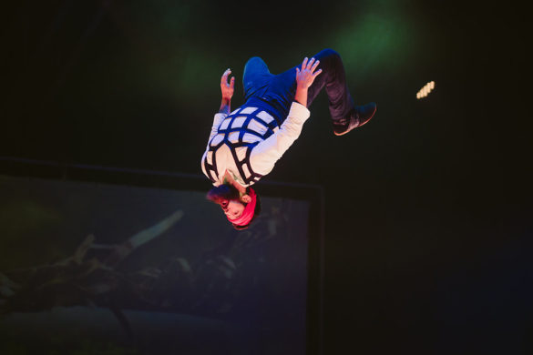 Kate Pardey Photo Gallery – Cirque Alfonse : Barbu 2016