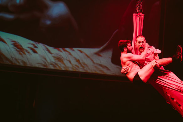 Kate Pardey Photo Gallery – Cirque Alfonse : Barbu 2016