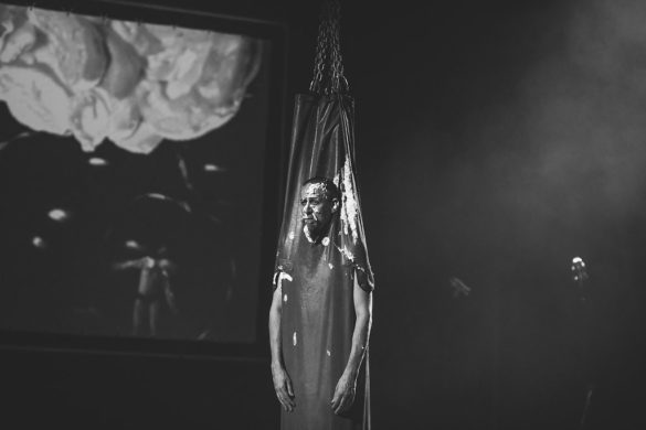 Kate Pardey Photo Gallery – Cirque Alfonse : Barbu 2016