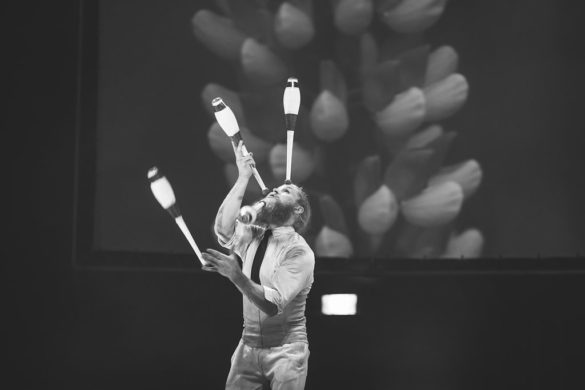 Kate Pardey Photo Gallery – Cirque Alfonse : Barbu 2016