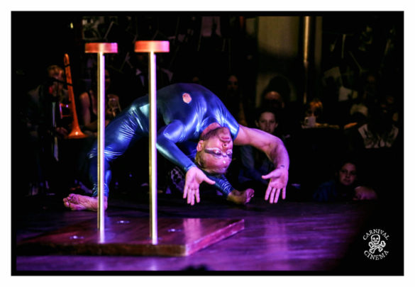 Western Australian Circus Festival – ‘Karnidale’ 2018 – Photo Gallery
