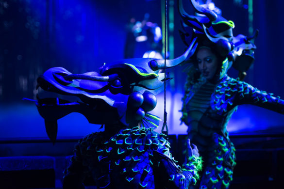 The Destiny Show Project by Contributing Photographer Aaron Walker