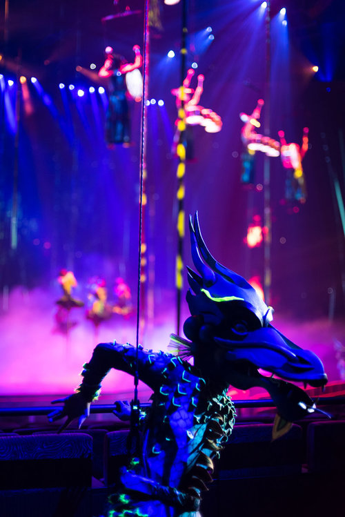 The Destiny Show Project by Contributing Photographer Aaron Walker
