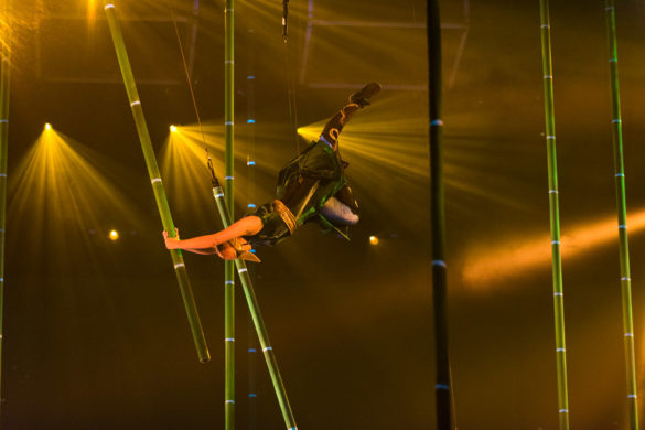 The Destiny Show Project by Contributing Photographer Aaron Walker