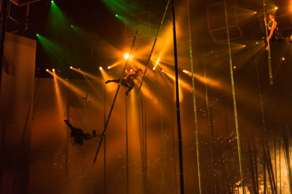 The Destiny Show Project by Contributing Photographer Aaron Walker