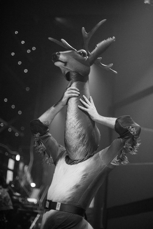 The Destiny Show Project by Contributing Photographer Aaron Walker