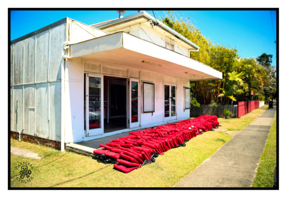 The Brunswick Picture House – The Birth of a Cultural Hub
