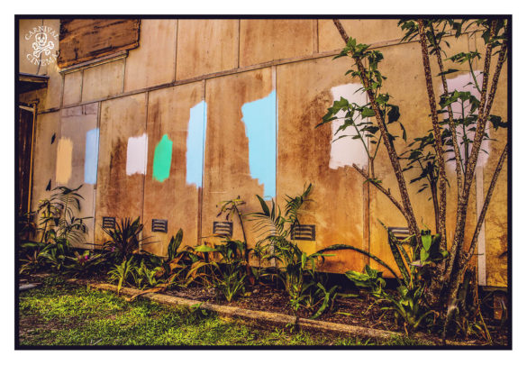 The Brunswick Picture House – The Birth of a Cultural Hub