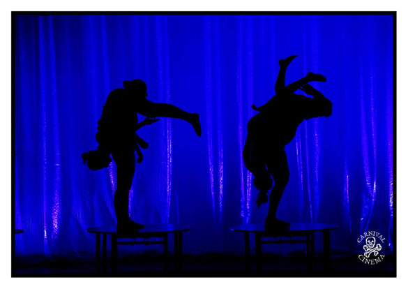 Gravity & Other Myths – Out Of Chaos, Adelaide Festival 2019