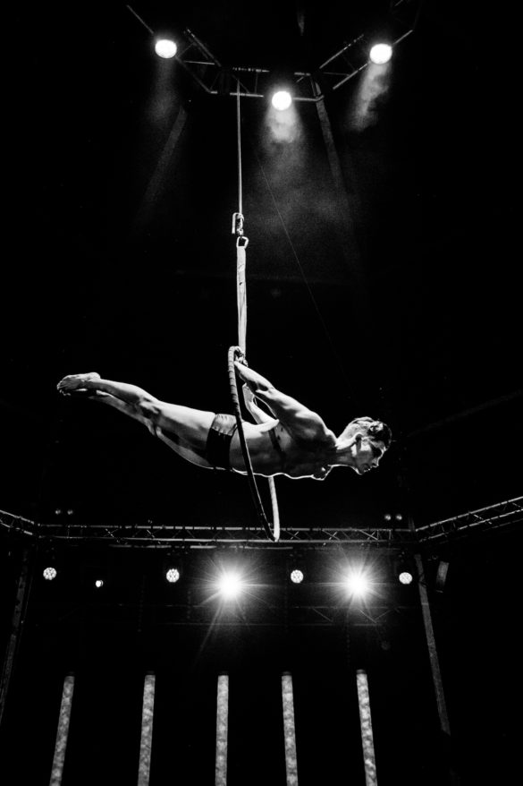 Rebel, Rouge & Shake it – Photo Gallery from Mark Turner